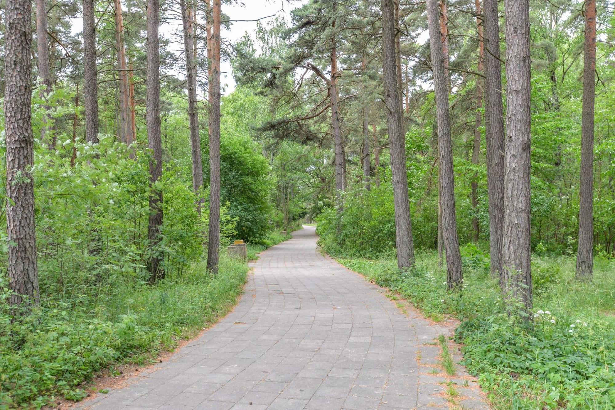 Studija Vanagupes 13 Palanga Exterior foto